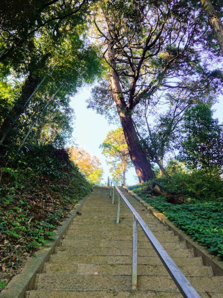 福岡県新宮 六所神社 階段