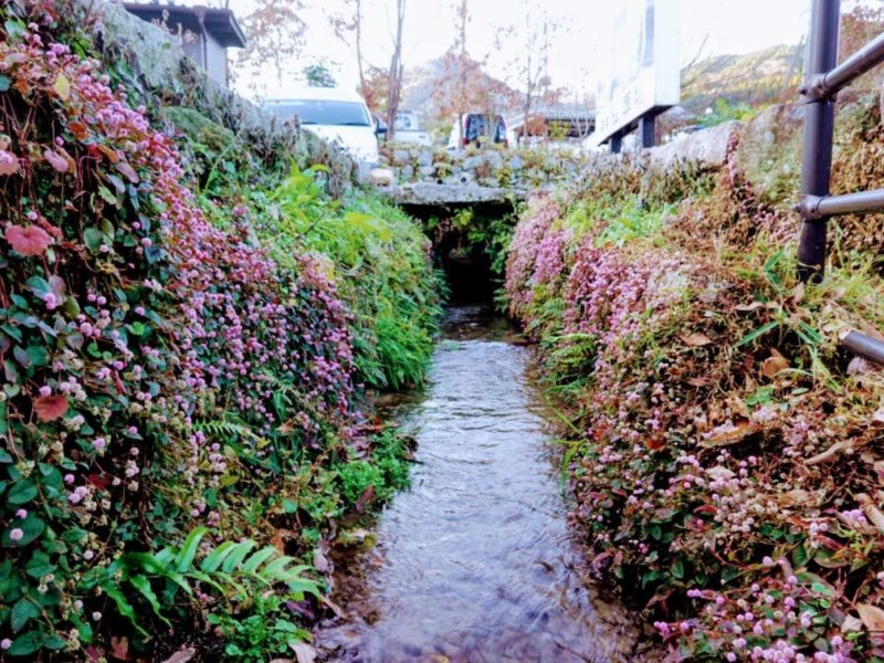 佐賀県古湯温泉の風景