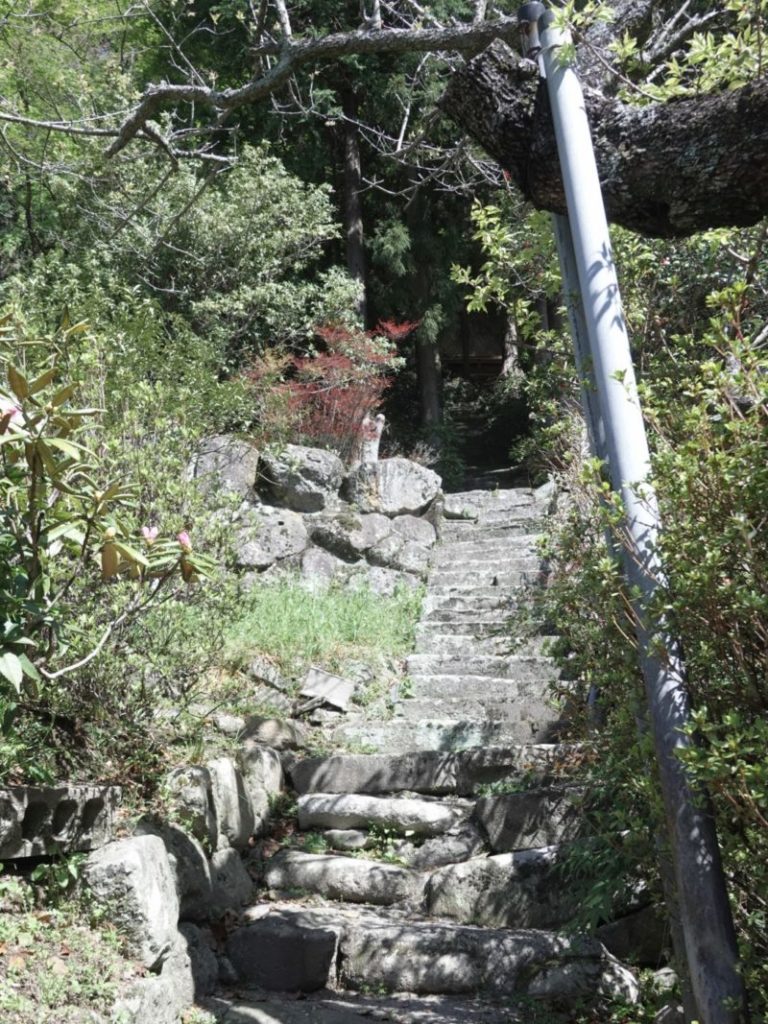 国東半島 龍下山 成佛寺 奥の院に通じる石段