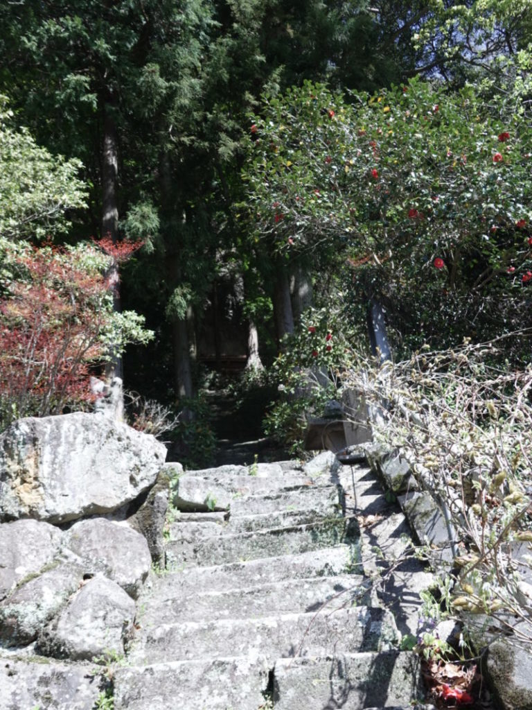 成仏寺 奥の院に続く石段