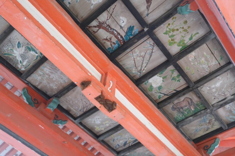 豊前市中村 角田八幡神社の門の上にも天井画